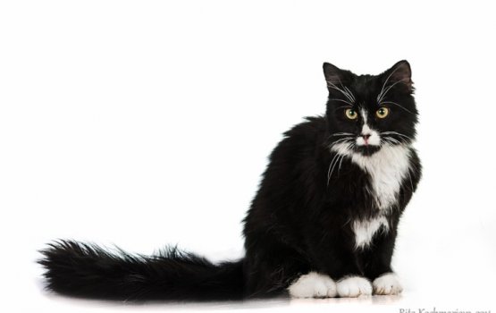 ������ ���� �����! ������ 7