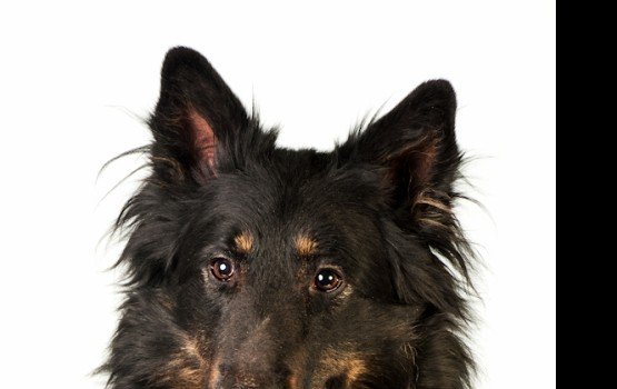 ������ ���� �����! ������ 7