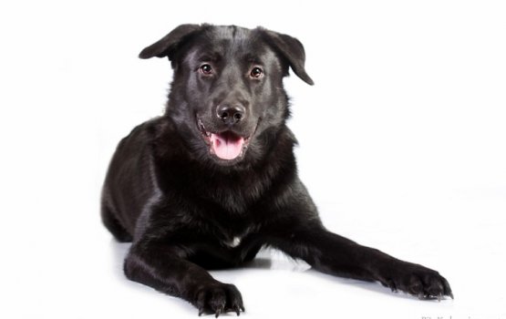 ������ ���� �����! ������ 7