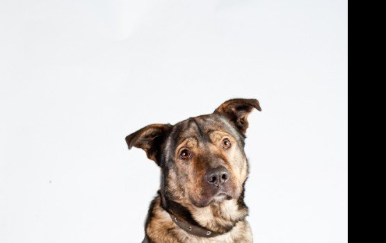 ������ ���� �����! ������ 7