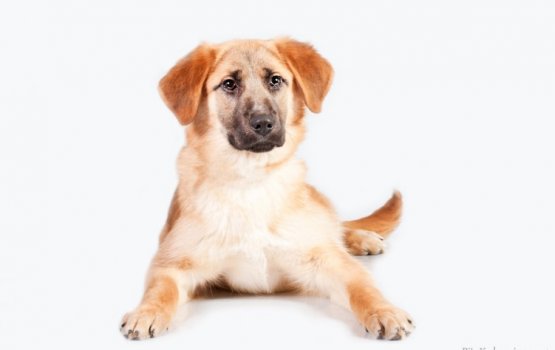 ������ ���� �����! ������ 7