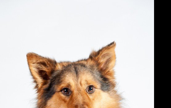 ������ ���� �����! ������ 7