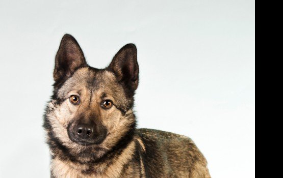 ������ ���� �����! ������ 7