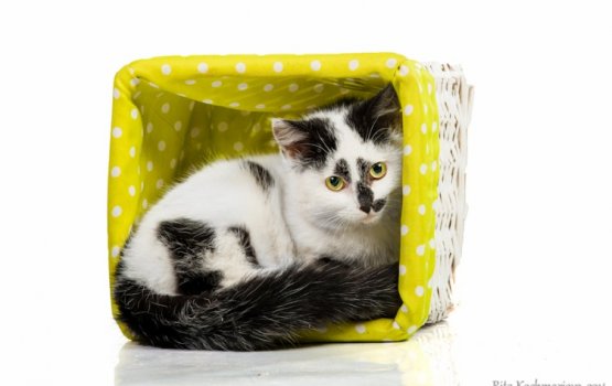 ������ ���� �����! ������ 7