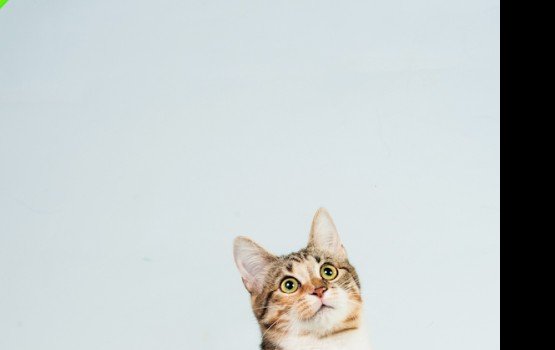 ������ ���� �����! ������ 7