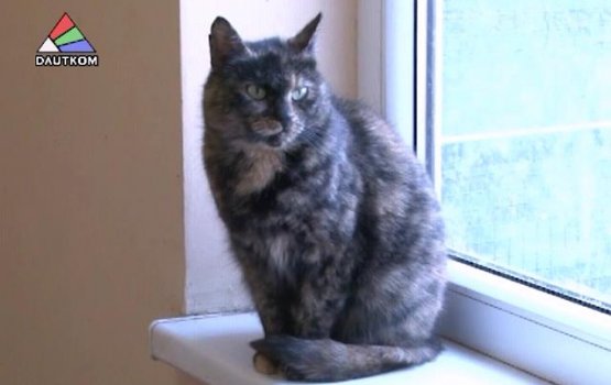 ����� ��������� �� ����� ���������� (�����)