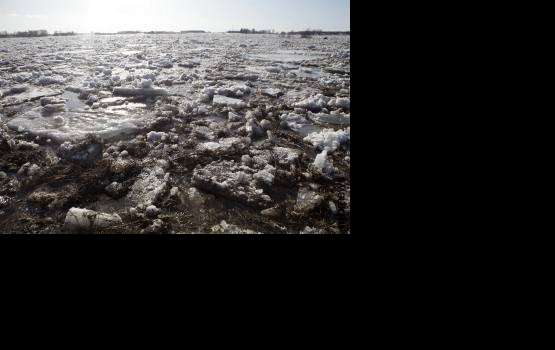 � ������� ������ 5-������ �������