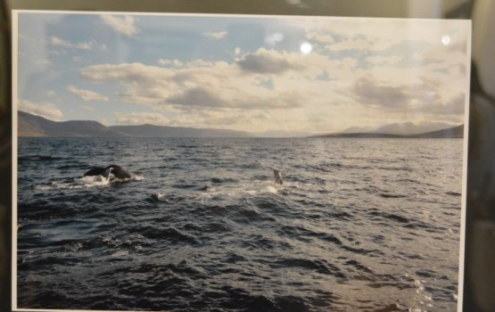 � �������� ���� � ���� �����