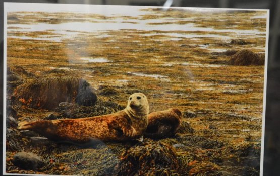 � �������� ���� � ���� �����