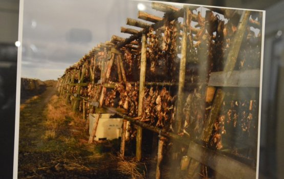 � �������� ���� � ���� �����