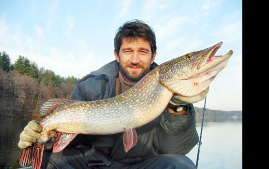 �������! ��� ������ ������!