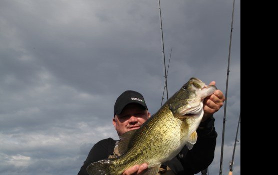 �������! ��� ������ ������!