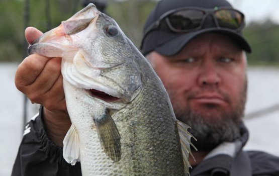 �������! ��� ������ ������!