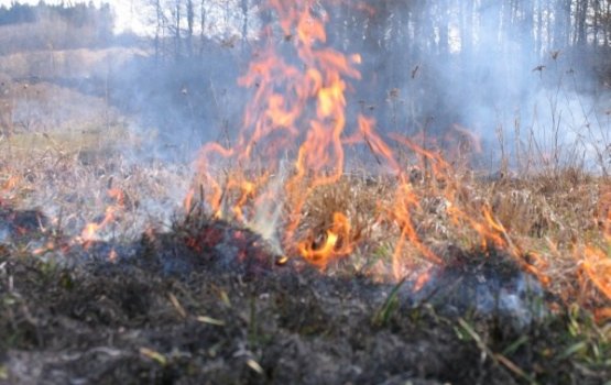 ����� ���� � ����