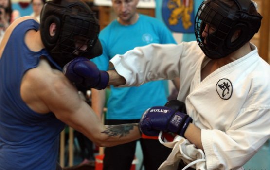 В марте пройдёт турнир Musashi Cup 2014