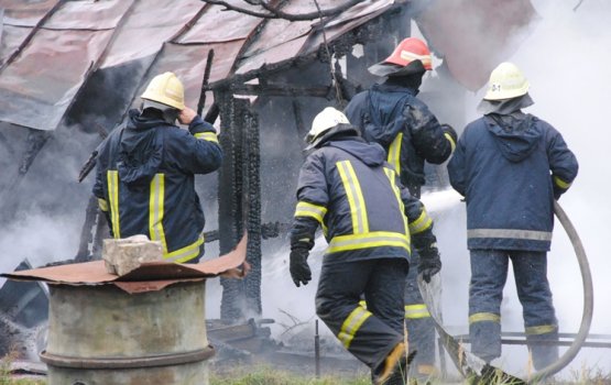 ����� ���� ����� ���� ��������