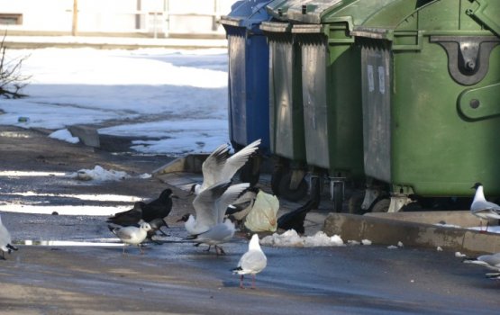 ��� �������� ������������ ���� �����