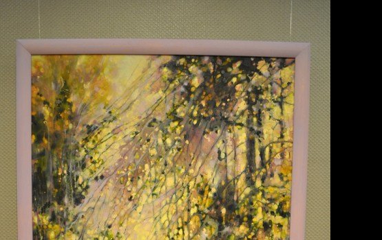 �������������� ��������� ���������� ����� �������