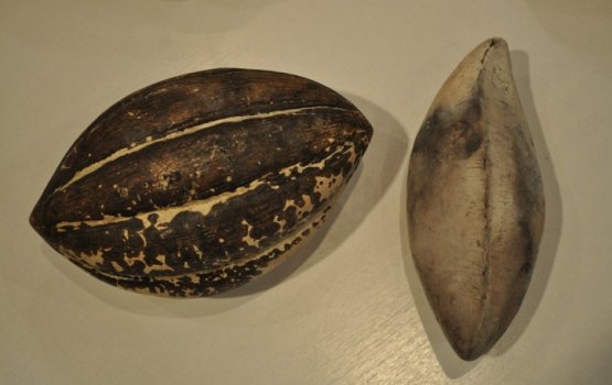 �������������� ��������� ���������� ����� �������