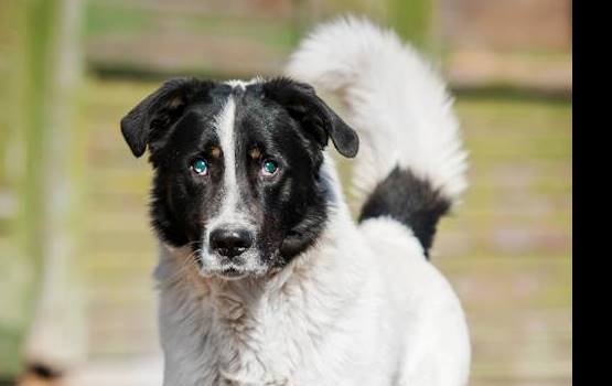 ��������� ���, ������� ����� � ��������