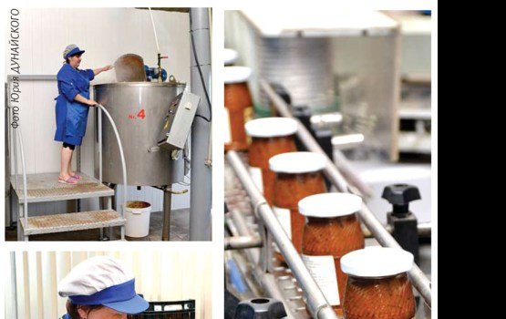 EVALD: �������� � ��������. ������� � �������!�