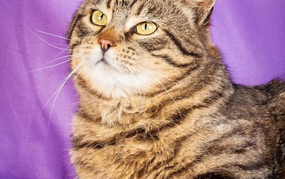 ������ ���� �����! ������ 11