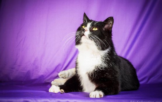 ������ ���� �����! ������ 11