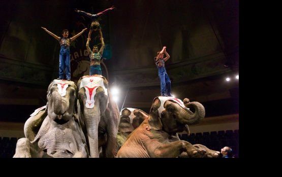 � ���� ������ ����� � ������ ��������