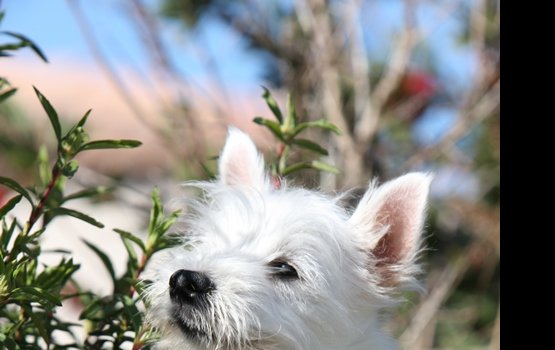 "���� ������������ ������" - ����-������� ���� ������