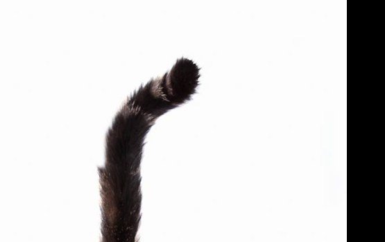 ������ ���� �����! ������ 13