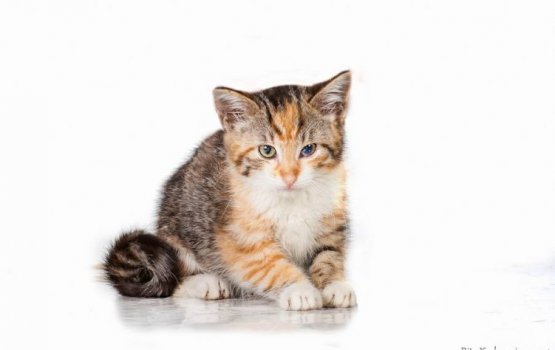 ������ ���� �����! ������ 13