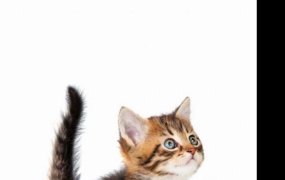 ������ ���� �����! ������ 13