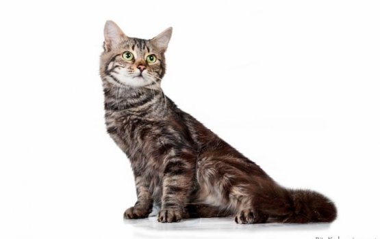 ������ ���� �����! ������ 13