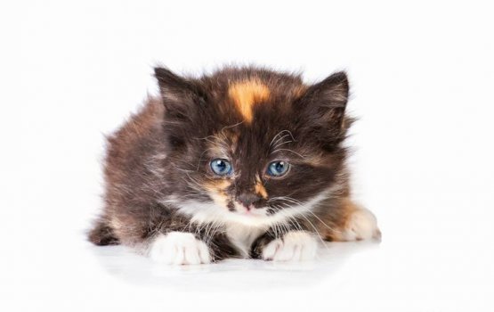 ������ ���� �����! ������ 13