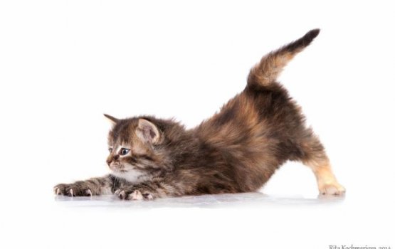 ������ ���� �����! ������ 13