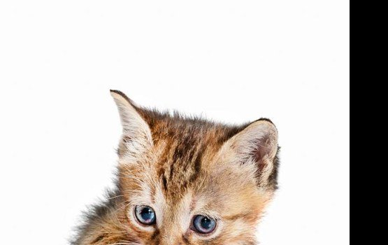 ������ ���� �����! ������ 13