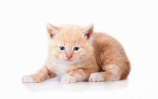 ������ ���� �����! ������ 13