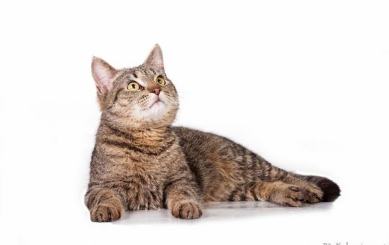 ������ ���� �����! ������ 13