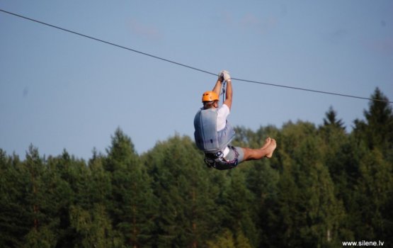 ���� ������ Silene: ������� � ���� ����