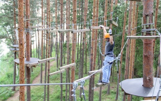 ���� ������ Silene: ������� � ���� ����