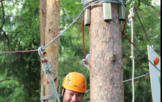 ���� ������ Silene: ������� � ���� ����