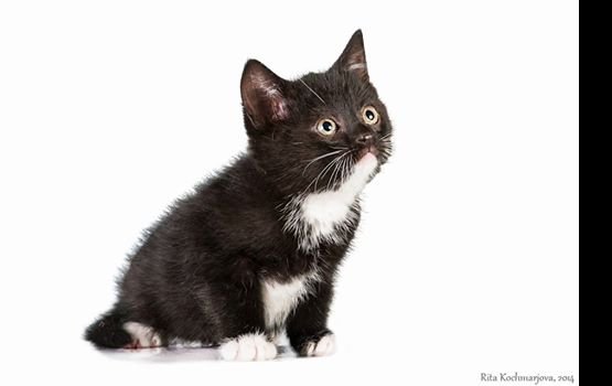 ������ ���� �����! ������ 15