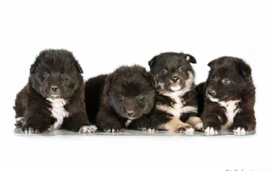 ������ ���� �����! ������ 15