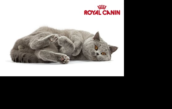 ����� �� �������� ������� � ������� ������ � �����?