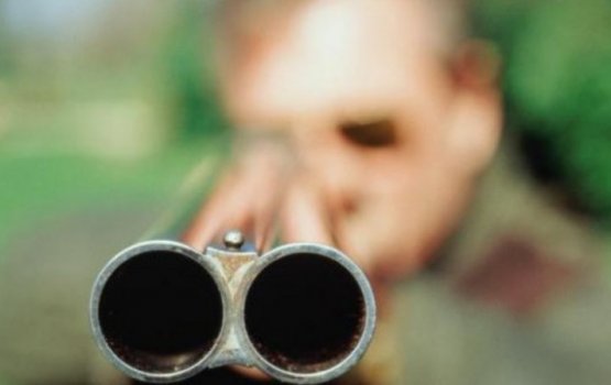 ���������� �������� �� ������ ������ ����