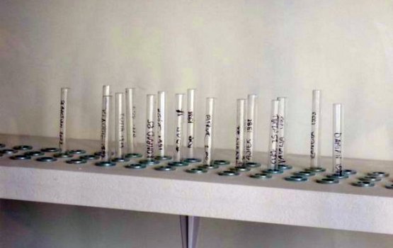 ������� ����� ����� �����?