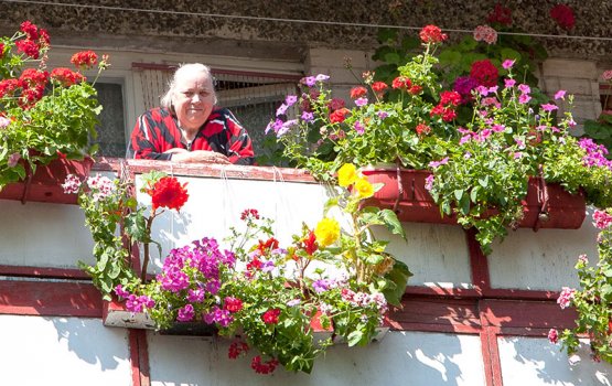 ������ ������ � ������ � �� �����