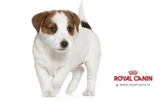 ����� ��� ������ � ��� ���� � ��� ����?