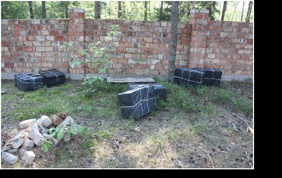 ��������������� ������ ��� ����