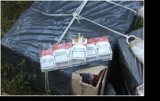 ��������������� ������ ��� ����